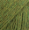 7238-græsgrøn