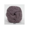2850-Gammelrosa