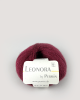 880410-Blomme